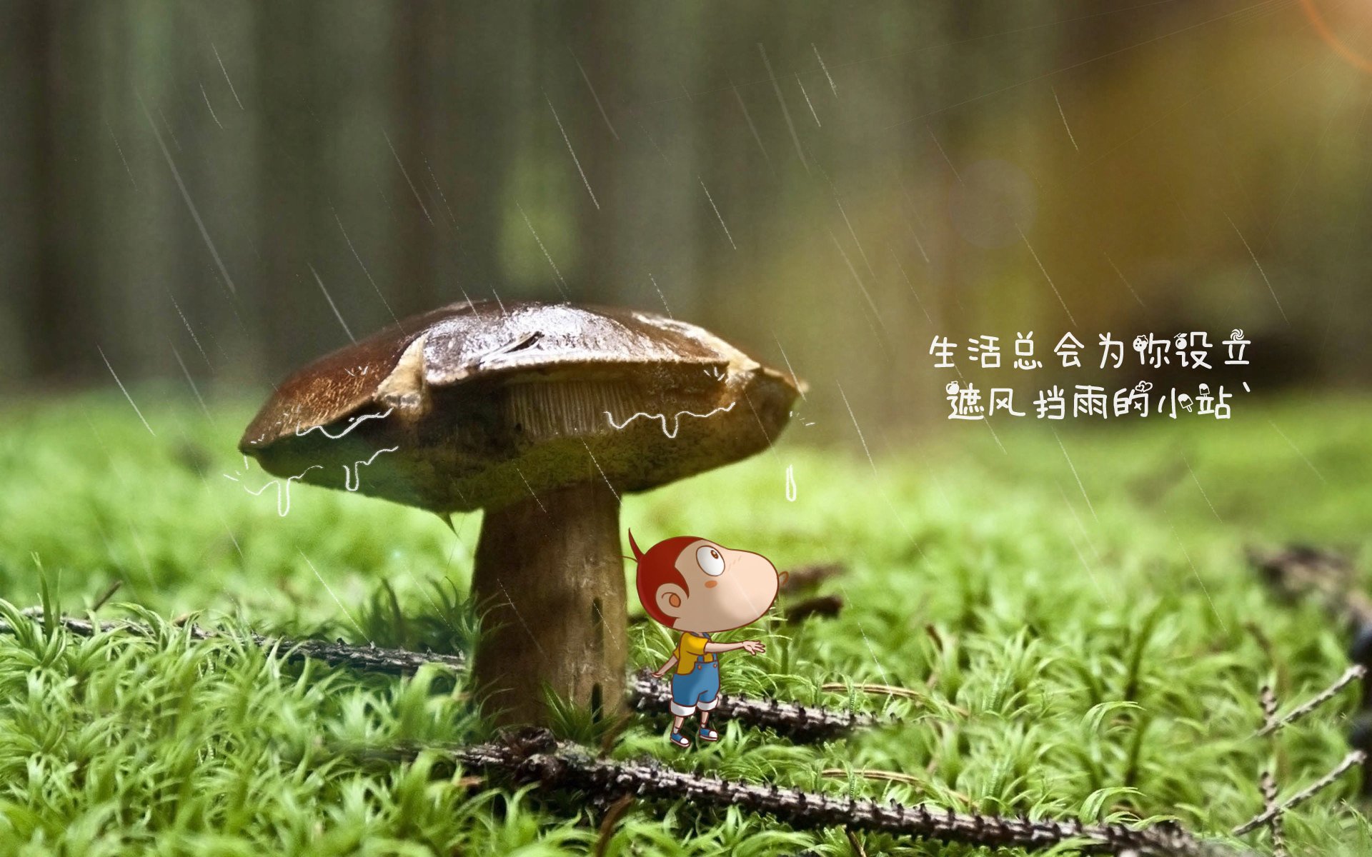 -WRC积分榜：冠军争夺战逐渐白热化，wrc冠军是谁
