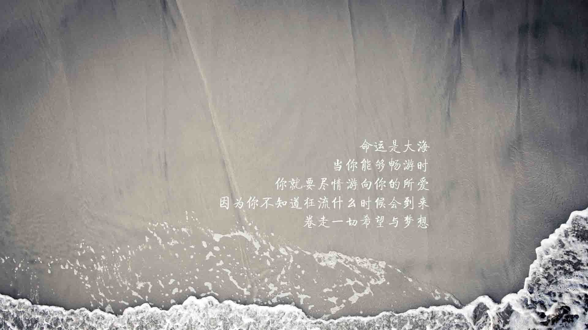_篮网队迎来五连胜，联盟排名稳步提升_，篮网队五巨头