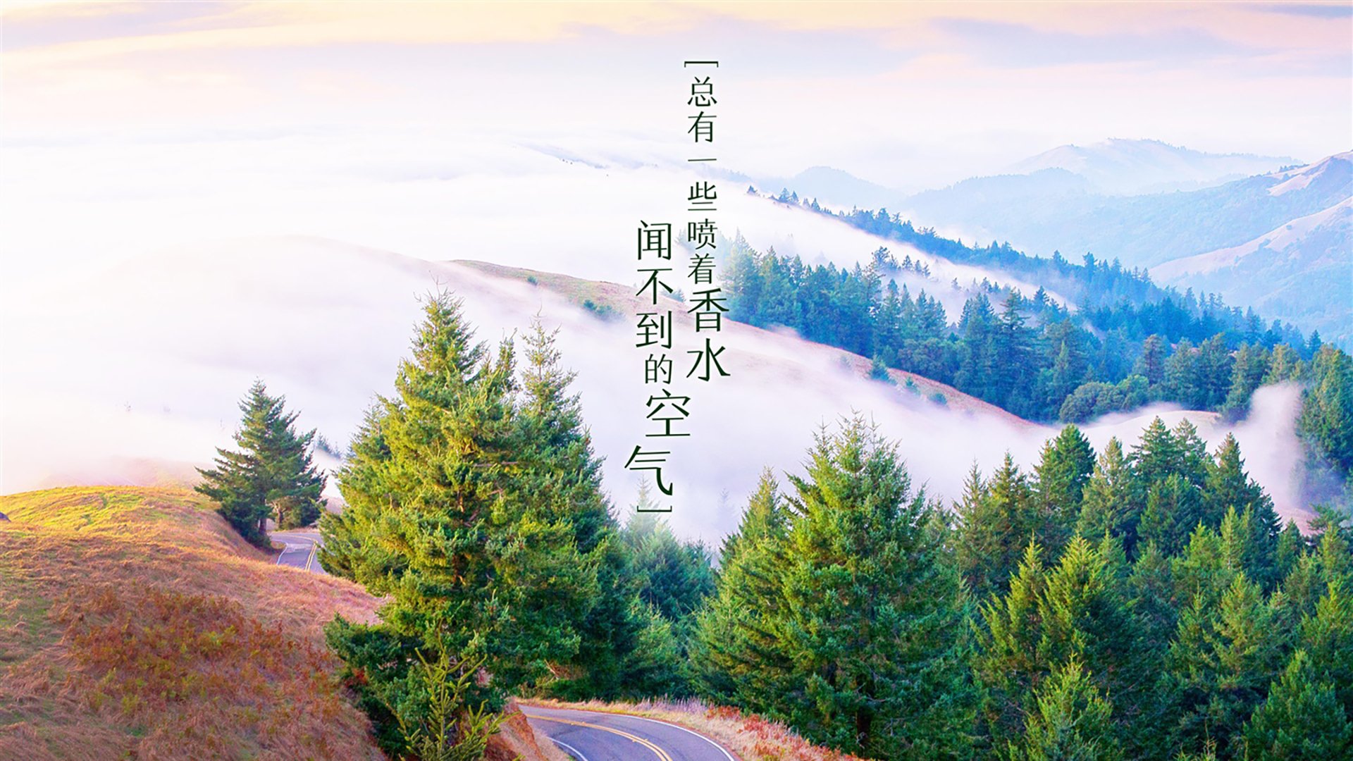 九游娱乐(jiuyou)官网-_篮网队连续三场破百，竞技状态火热_，篮网所有比赛