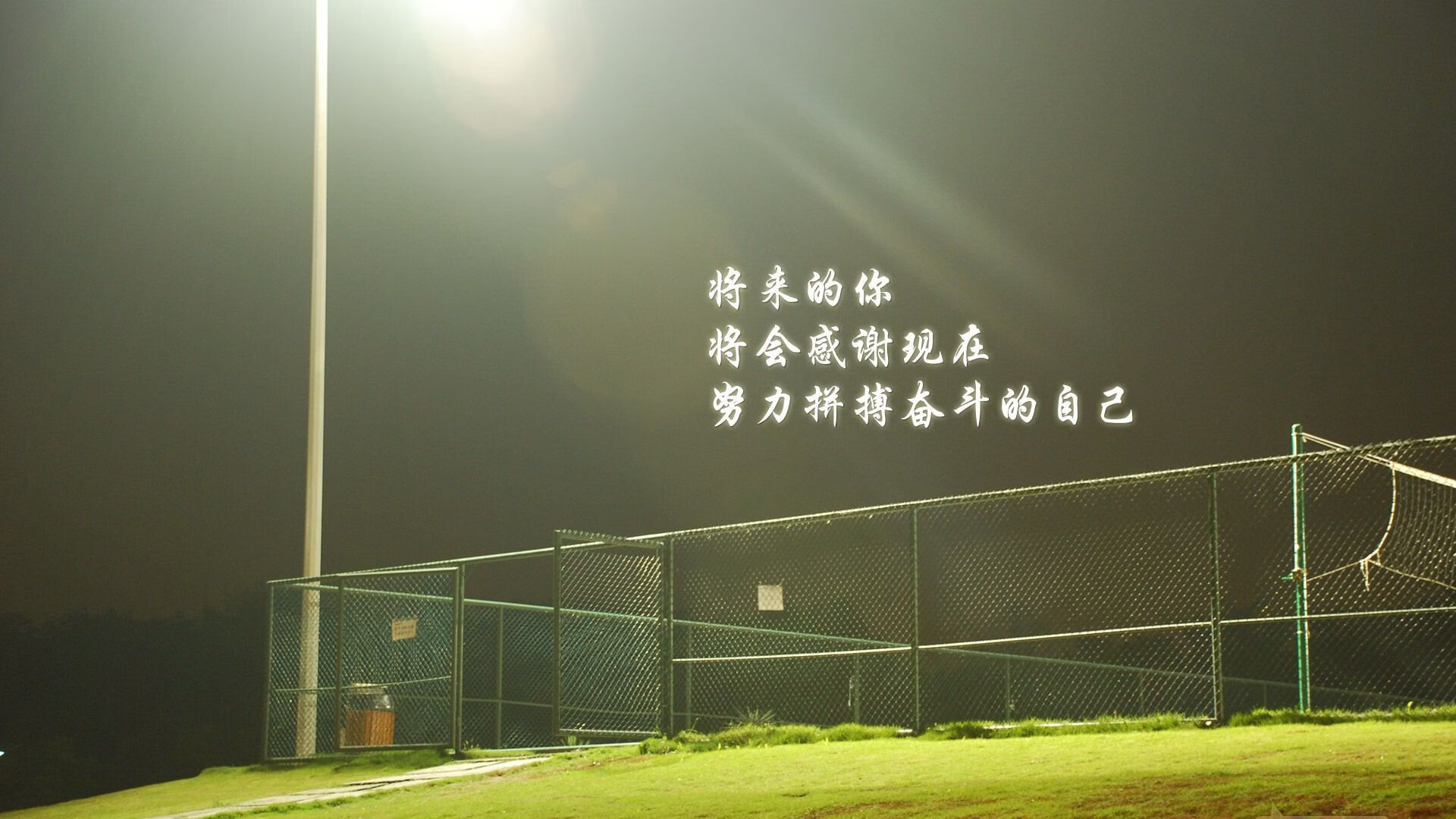 上海申花主帅战术布置精准斩获胜利，上海申花主力队员
