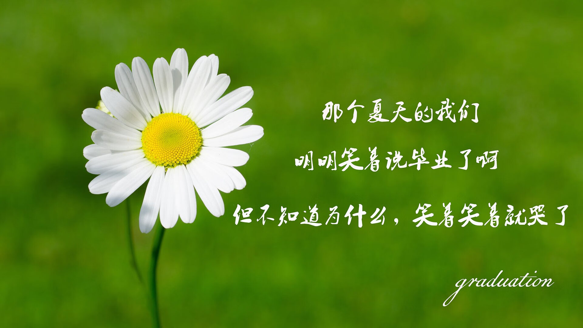国家队篮球体能训练周期设计，国家队篮球体能训练周期设计方案