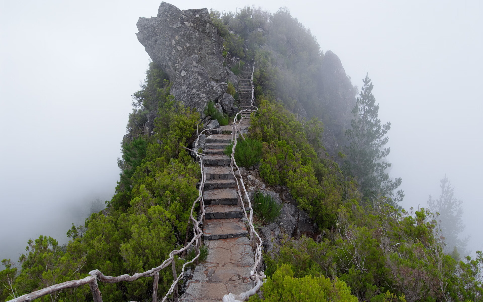 山东泰山主场连胜势头不减，山东泰山队重大调整