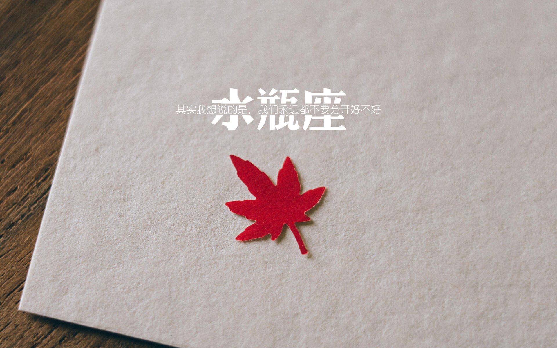 焦点橄榄球转会风波