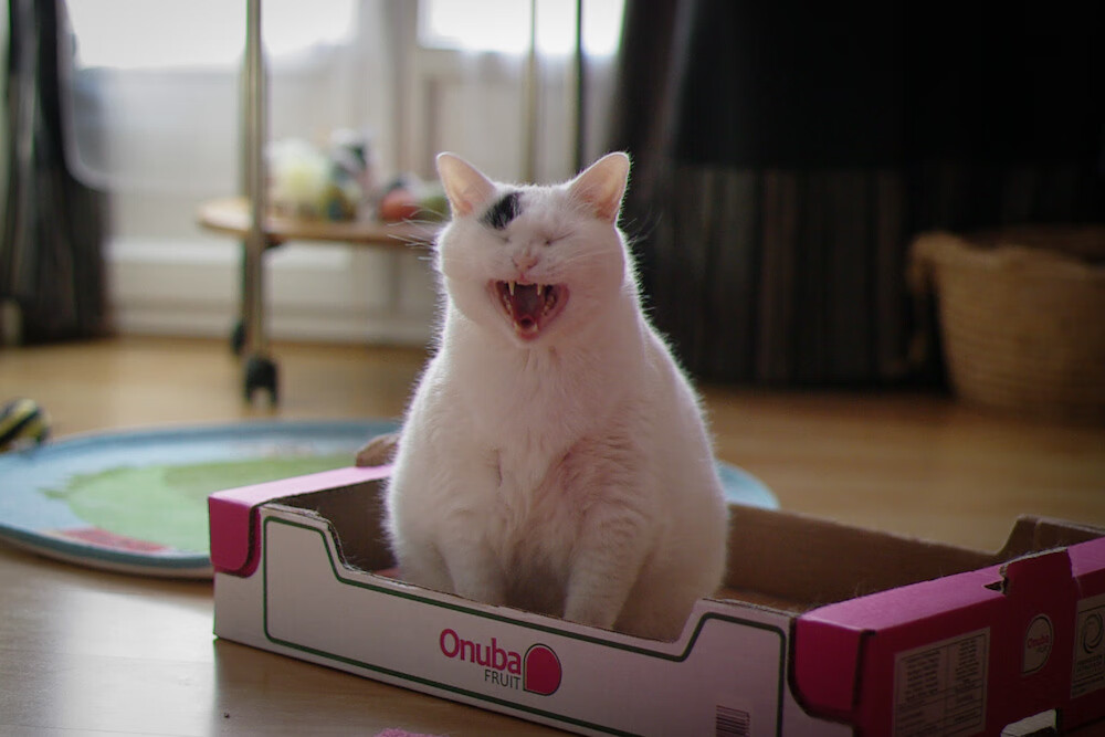 战术变革助新月立足亚洲赛场