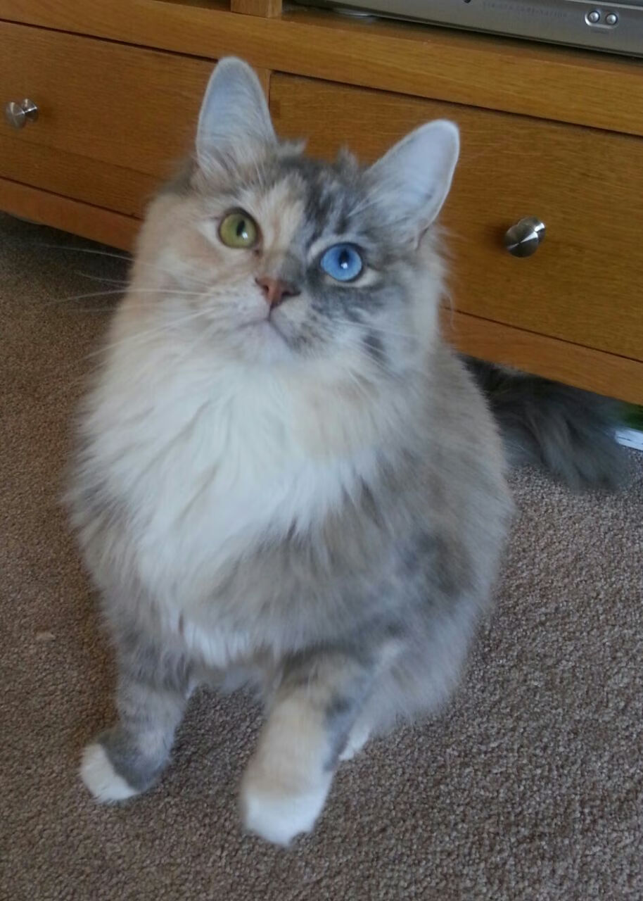 九游网-湖滨赛道上，运动员尽展风采，xs贵还是x贵