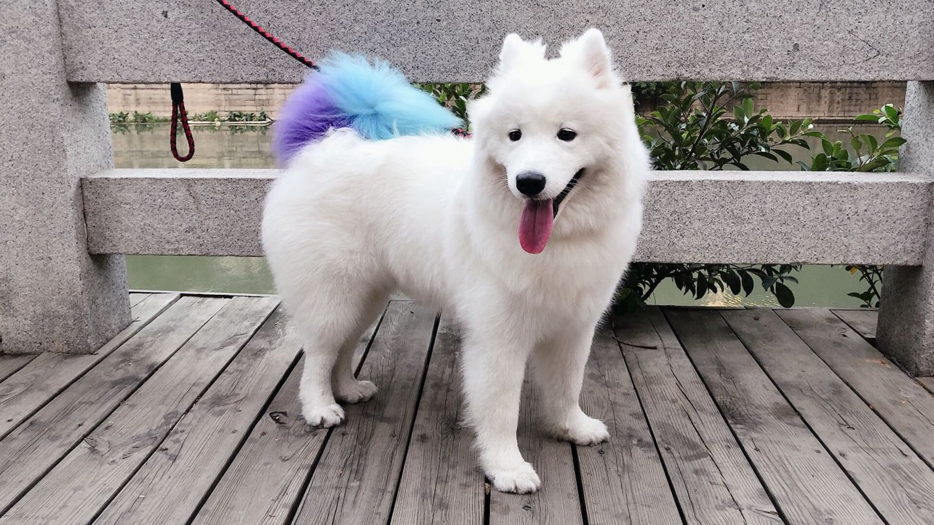 九游娱乐APP-运动科技助力极限项目数据建模实现突破，运动系统建模