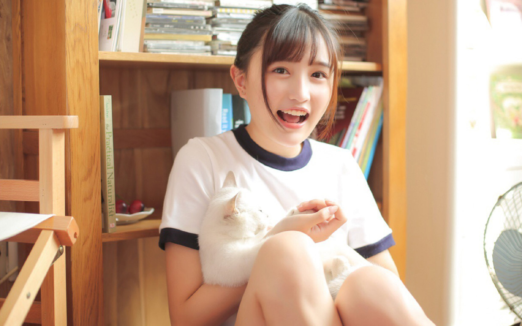 国王重点演练快攻转换保持进攻压迫，国王进攻集锦