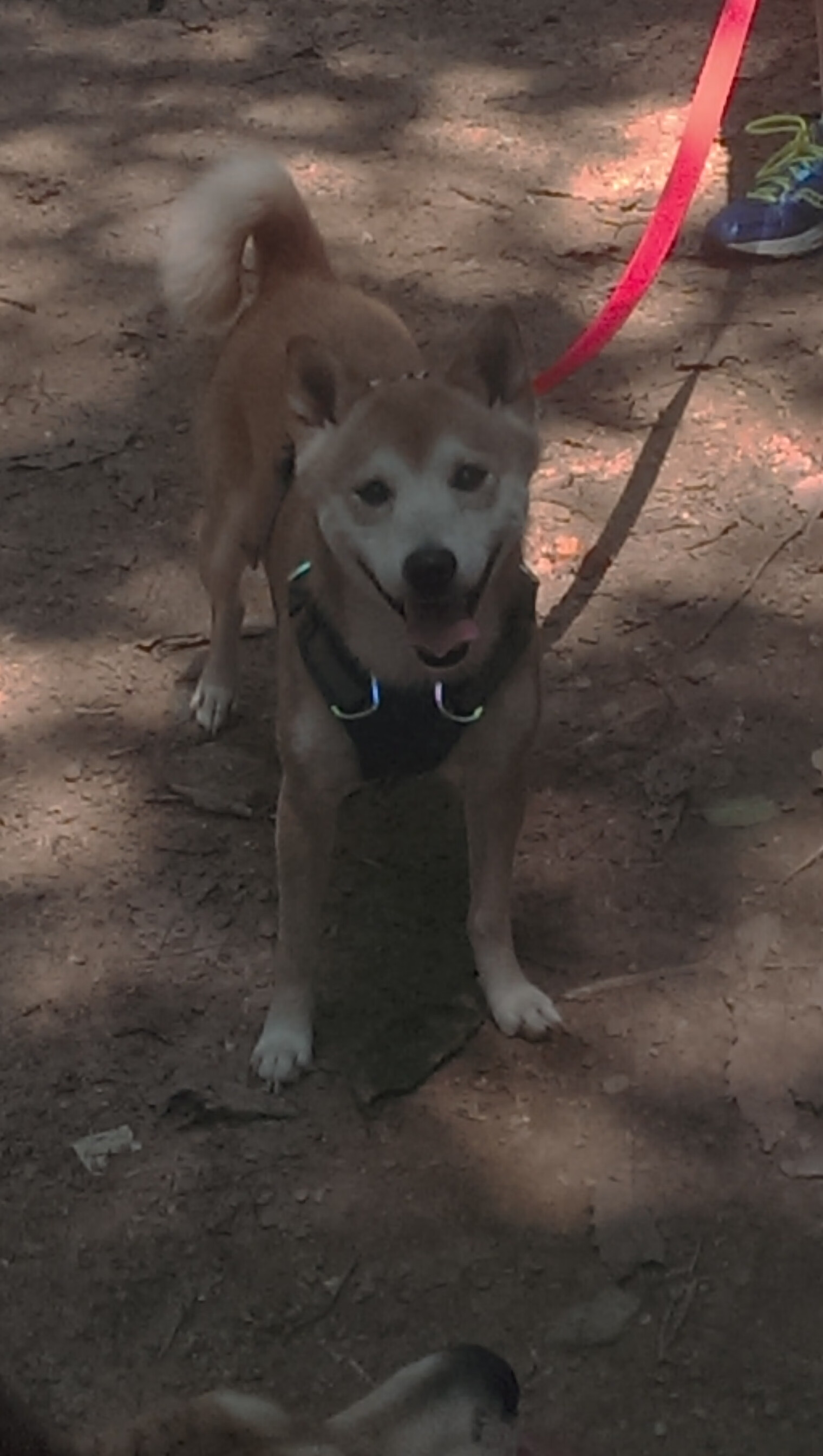 王宗源冲刺阶段表现抢眼,王宗源实力