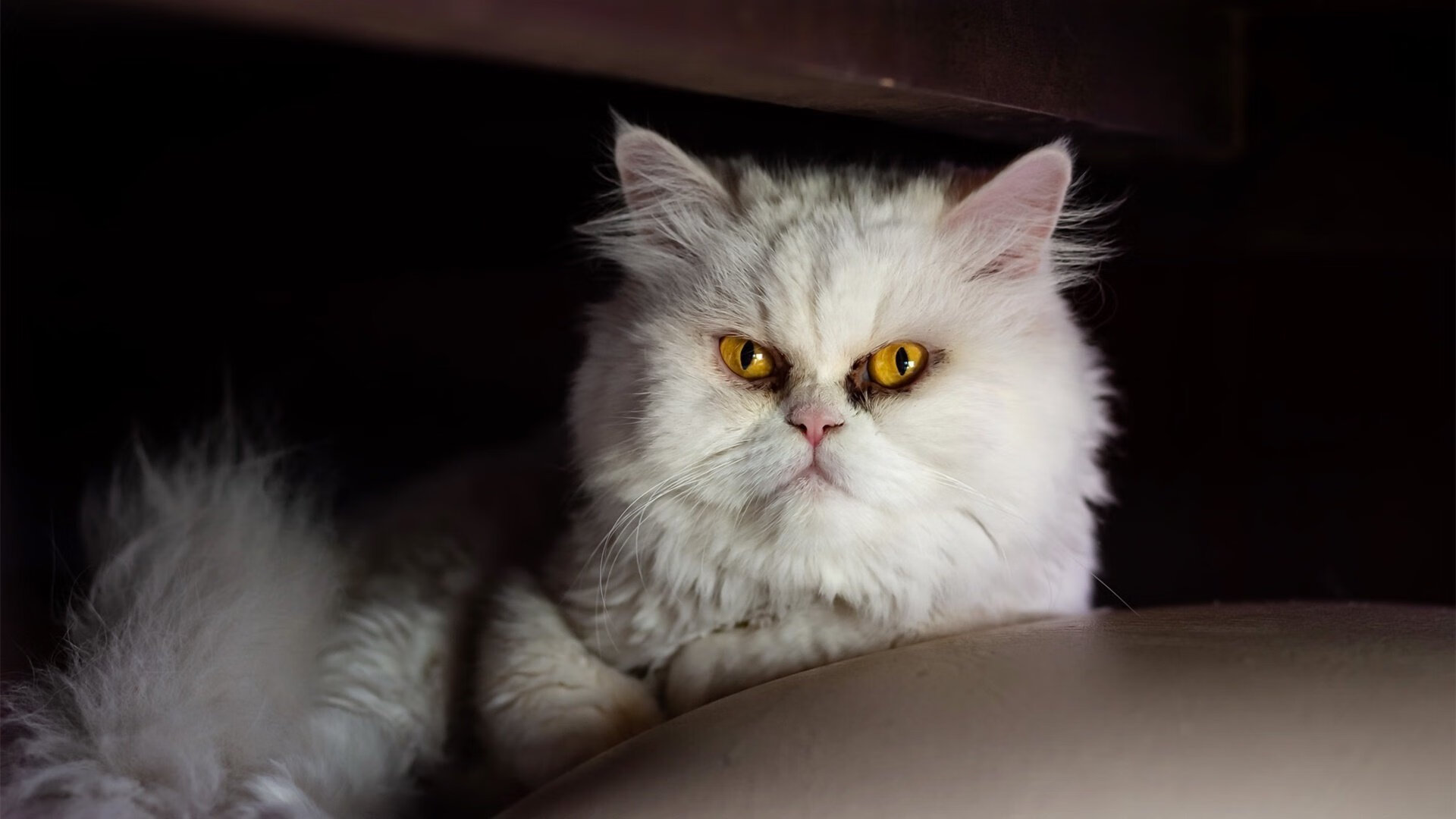 西甲荣耀之战:细节之处彰显技艺精湛