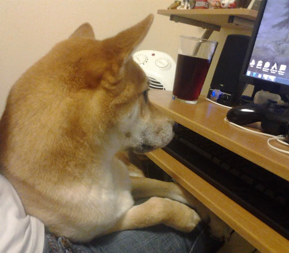 青训选拔试点智能体测平台提高测试准确性，青训试训内容